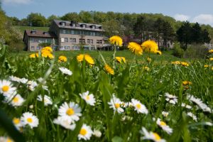 View on Herzberg with meadow