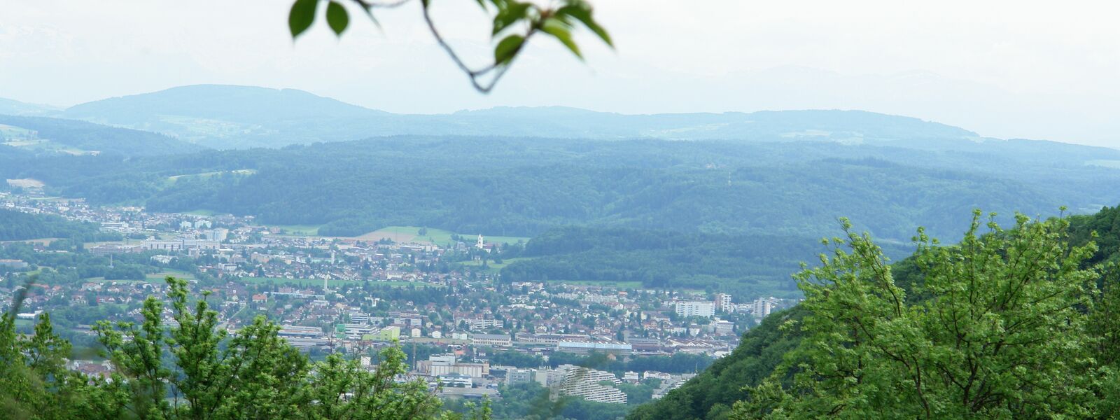 Aussicht vom Herzberg auf Aarau