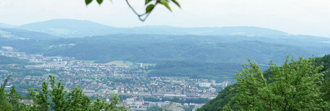Aussicht vom Herzberg auf Aarau
